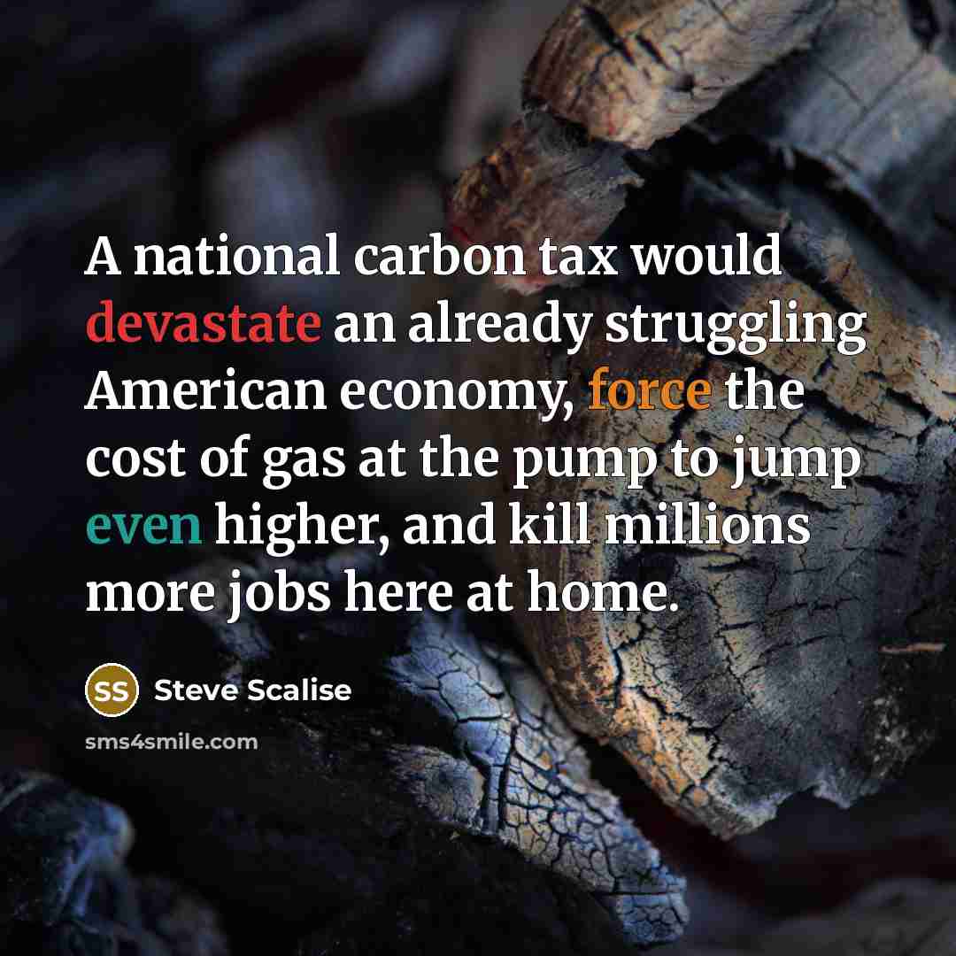 “A national carbon tax would devastate an already struggling American economy, force the cost of gas at the pump to jump even higher, and kill millions more jobs here at home.” quote by Steve Scalise