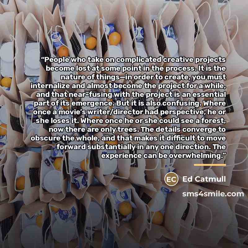 “People who take on complicated creative projects become lost at some point in the process. It is the nature of things—in order to create, you must internalize and almost become the project for a while, and that near-fusing with the project is an essential part of its emergence. But it is also…” quote by Ed Catmull