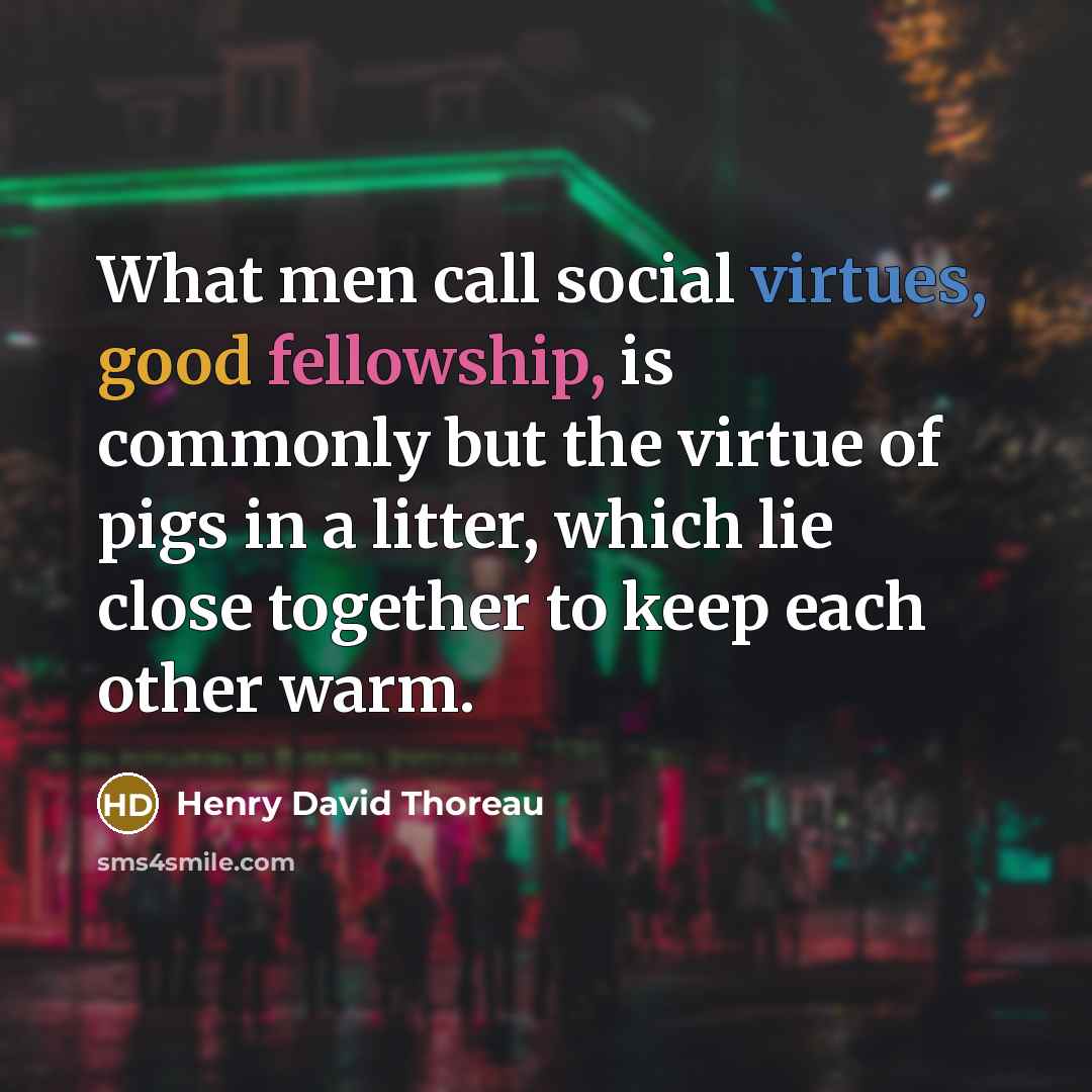 “What men call social virtues, good fellowship, is commonly but the virtue of pigs in a litter, which lie close together to keep each other warm.” quote by Henry David Thoreau