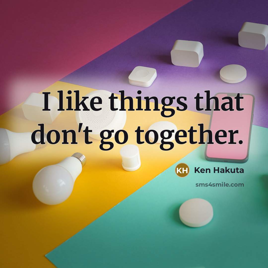 “I like things that don't go together.” quote by Ken Hakuta