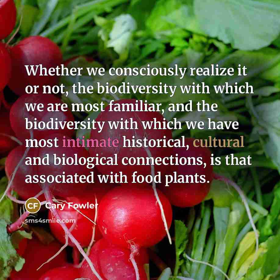 “Whether we consciously realize it or not, the biodiversity with which we are most familiar, and the biodiversity with which we have most intimate historical, cultural and biological connections, is that associated with food plants.” quote by Cary Fowler