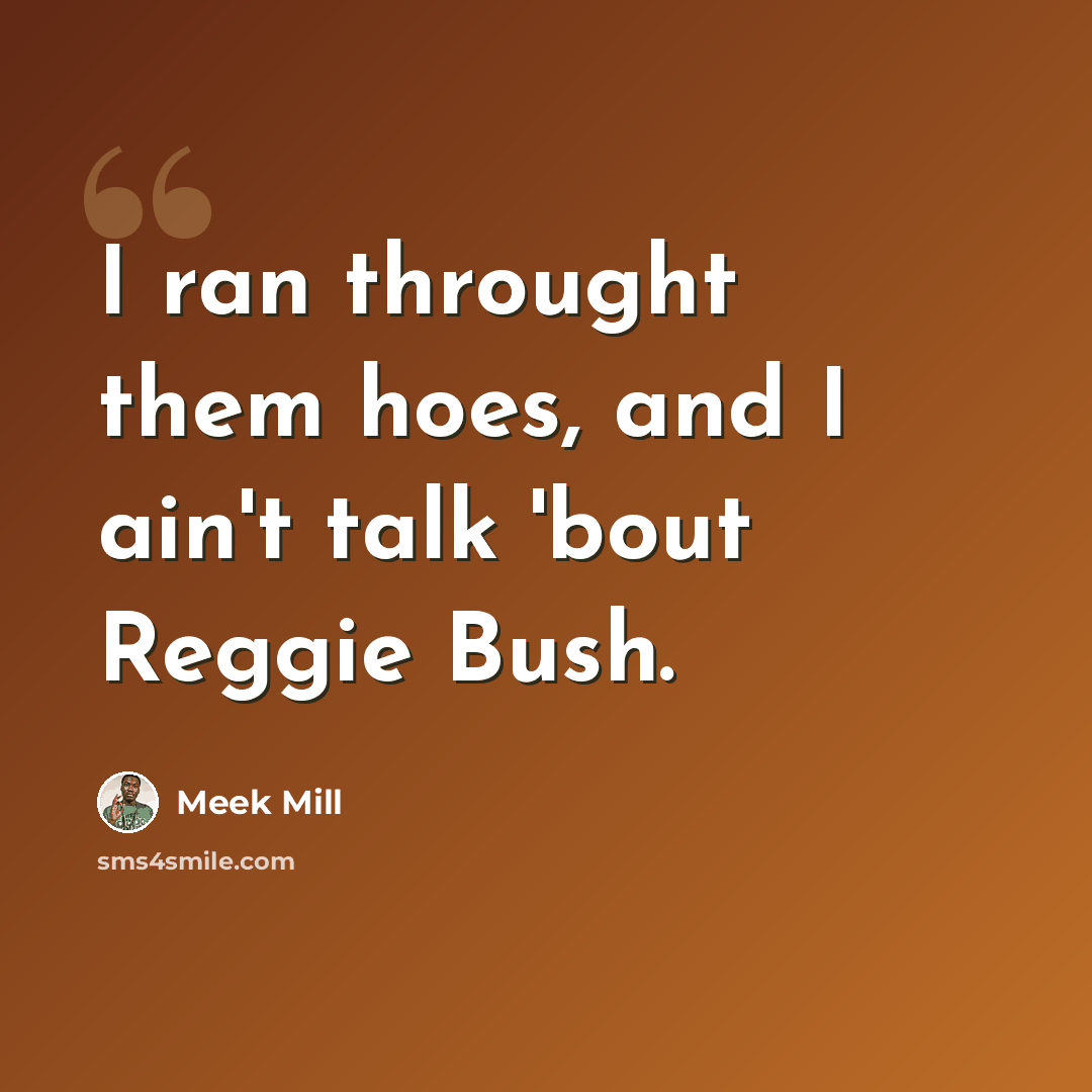 “I ran throught them hoes, and I ain't talk 'bout Reggie Bush.” quote by Meek Mill