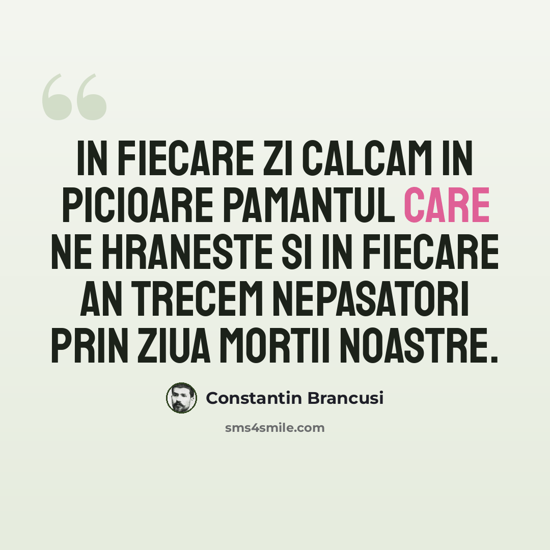 “In fiecare zi calcam in picioare pamantul care ne hraneste si in fiecare an trecem nepasatori prin ziua mortii noastre.” quote by Constantin Brancusi