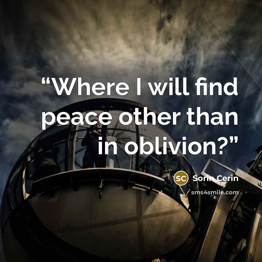 “Where I will find peace other than in oblivion?” quote by Sorin Cerin