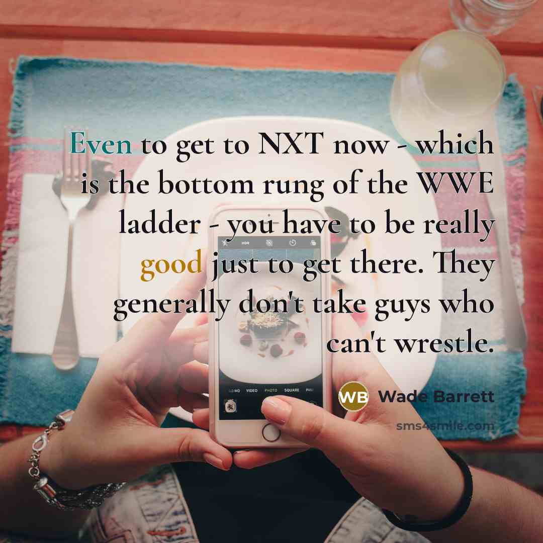 “Even to get to NXT now - which is the bottom rung of the WWE ladder - you have to be really good just to get there. They generally don't take guys who can't wrestle.” quote by Wade Barrett
