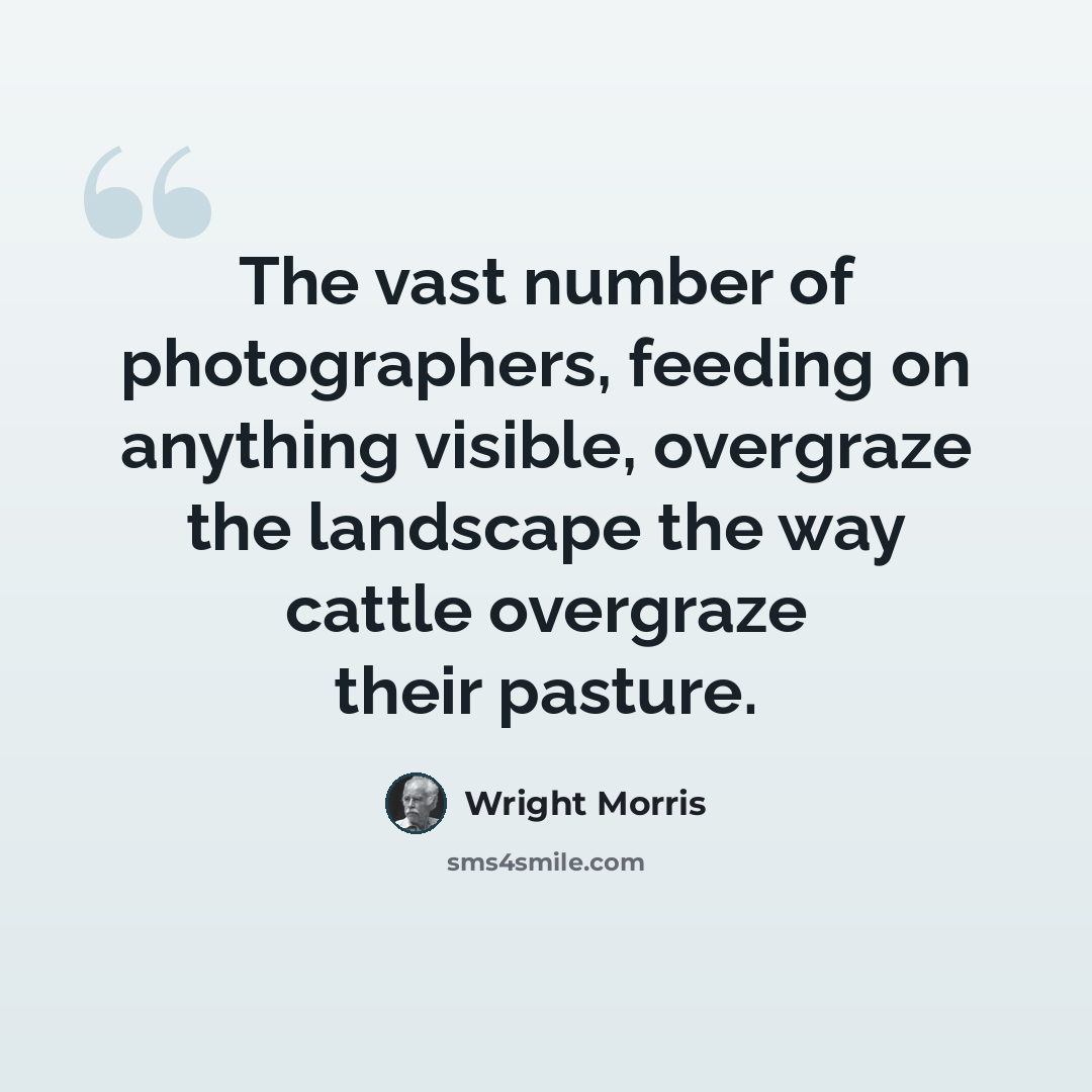 “The vast number of photographers, feeding on anything visible, overgraze the landscape the way cattle overgraze their pasture.” quote by Wright Morris