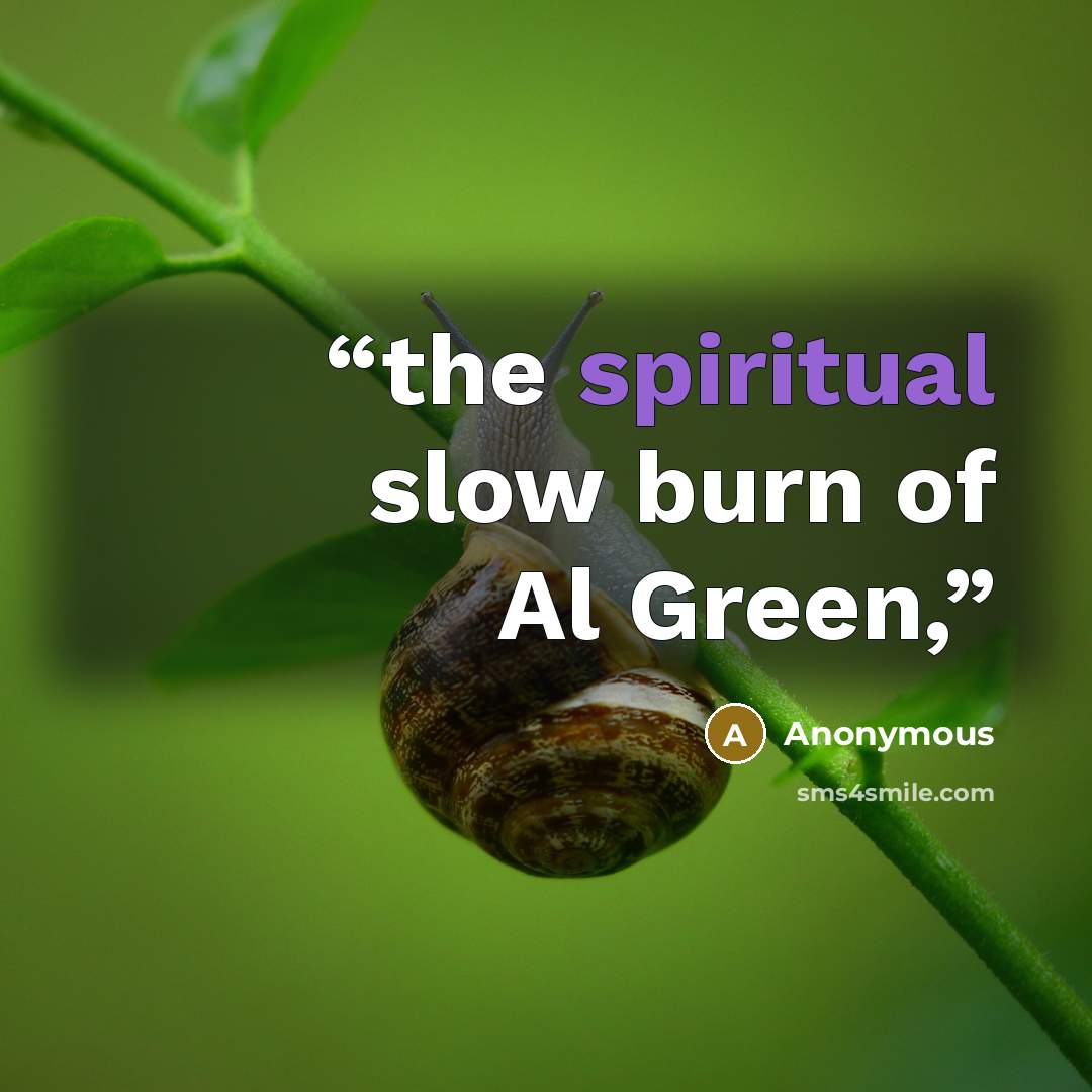 “the spiritual slow burn of Al Green,” quote by Anonymous