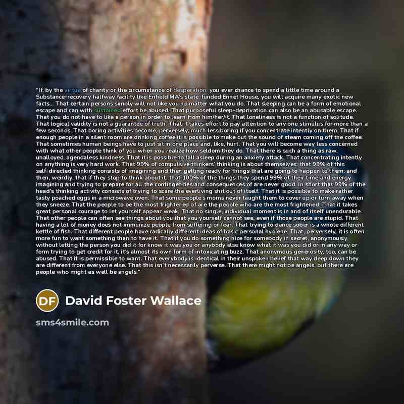 “If, by the virtue of charity or the circumstance of desperation, you ever chance to spend a little time around a Substance-recovery halfway facility like Enfield MA’s state-funded Ennet House, you will acquire many exotic new facts… That certain persons simply will not like you no matter what you…” quote by David Foster Wallace