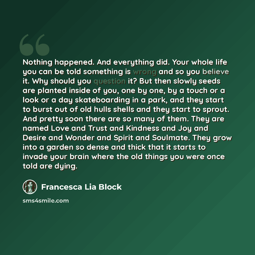“Nothing happened. And everything did. Your whole life you can be told something is wrong and so you believe it. Why should you question it? But then slowly seeds are planted inside of you, one by one, by a touch or a look or a day skateboarding in a park, and they start to burst out of old hulls…” quote by Francesca Lia Block