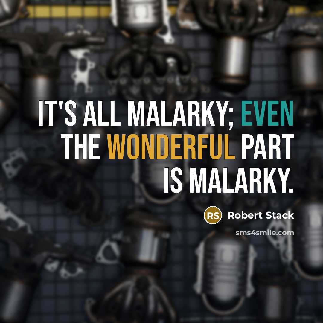 “It's all malarky; even the wonderful part is malarky.” quote by Robert Stack