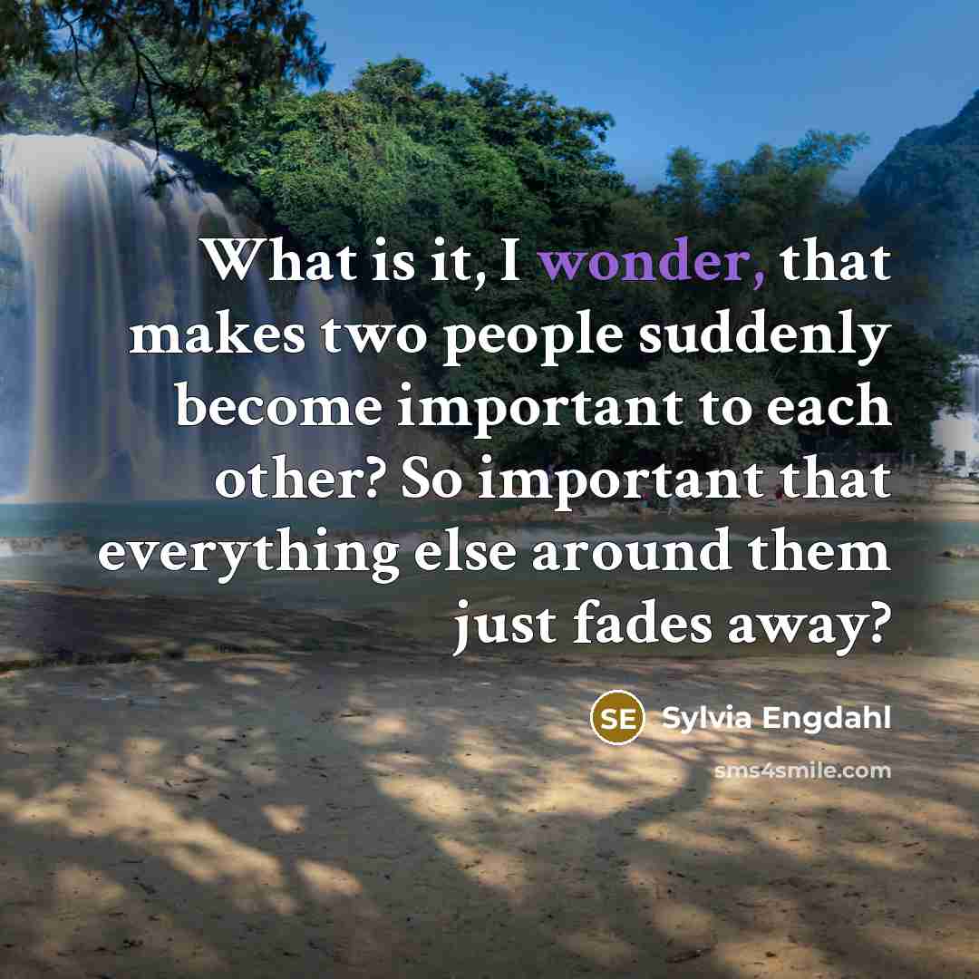 “What is it, I wonder, that makes two people suddenly become important to each other? So important that everything else around them just fades away?” quote by Sylvia Engdahl