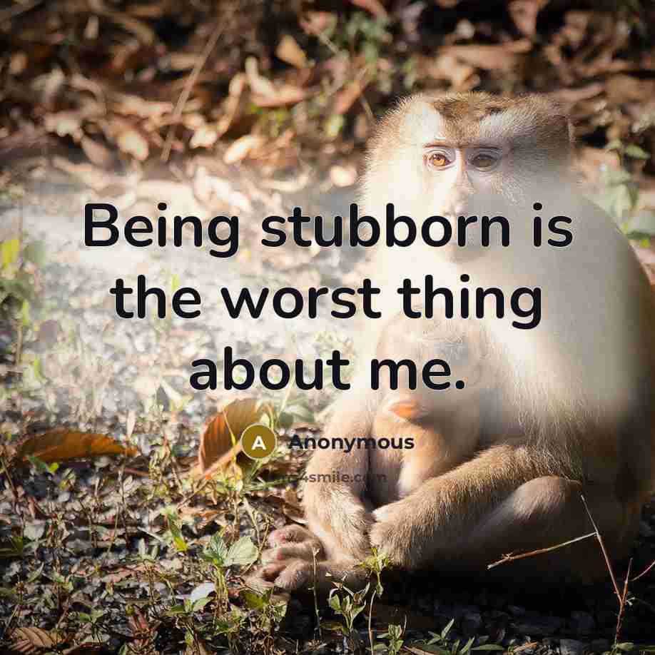 “Being stubborn is the worst thing about me.” quote by Anonymous