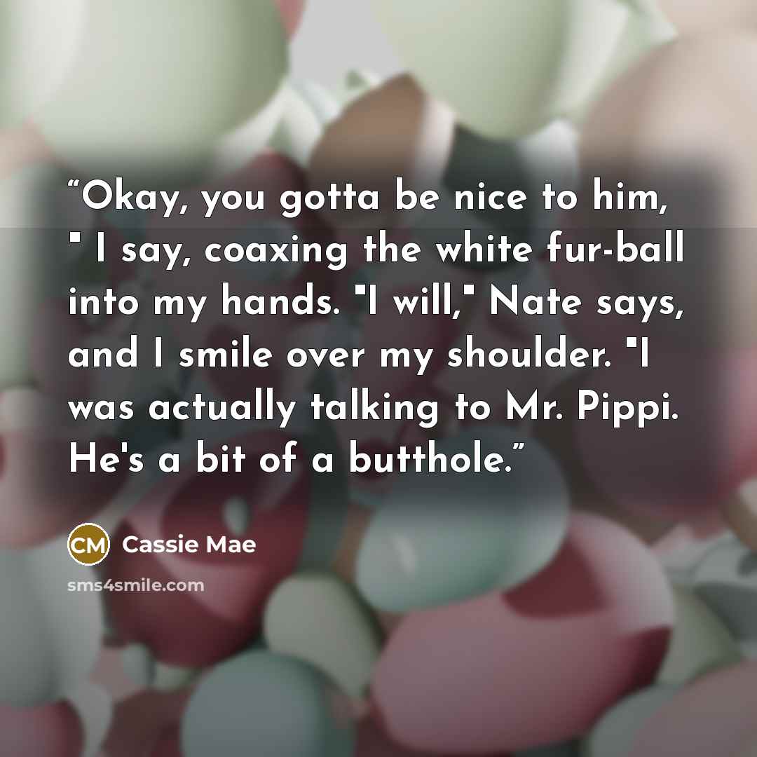 “Okay, you gotta be nice to him, " I say, coaxing the white fur-ball into my hands. "I will," Nate says, and I smile over my shoulder. "I was actually talking to Mr. Pippi. He's a bit of a butthole.” quote by Cassie Mae