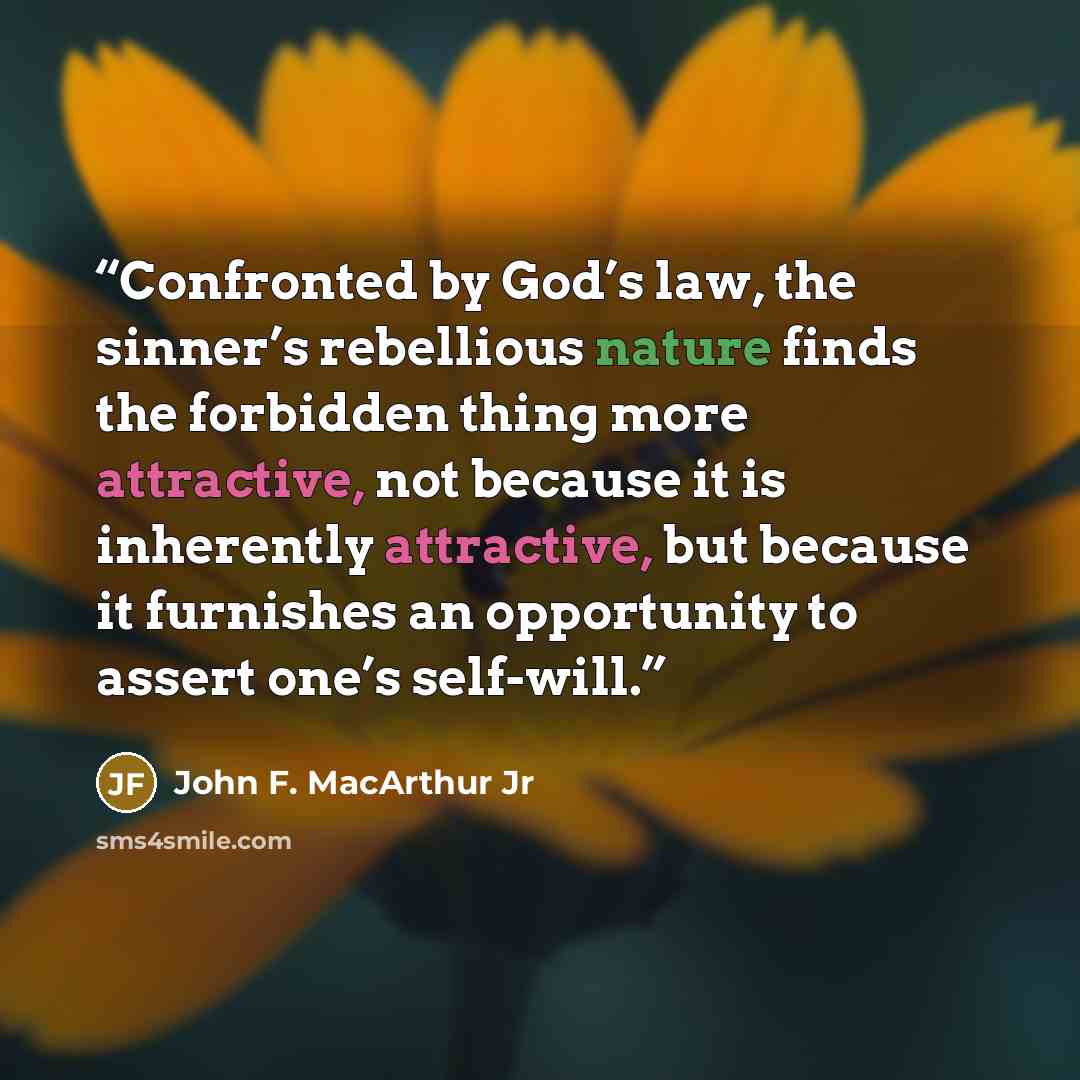 “Confronted by God’s law, the sinner’s rebellious nature finds the forbidden thing more attractive, not because it is inherently attractive, but because it furnishes an opportunity to assert one’s self-will.” quote by John F. MacArthur Jr