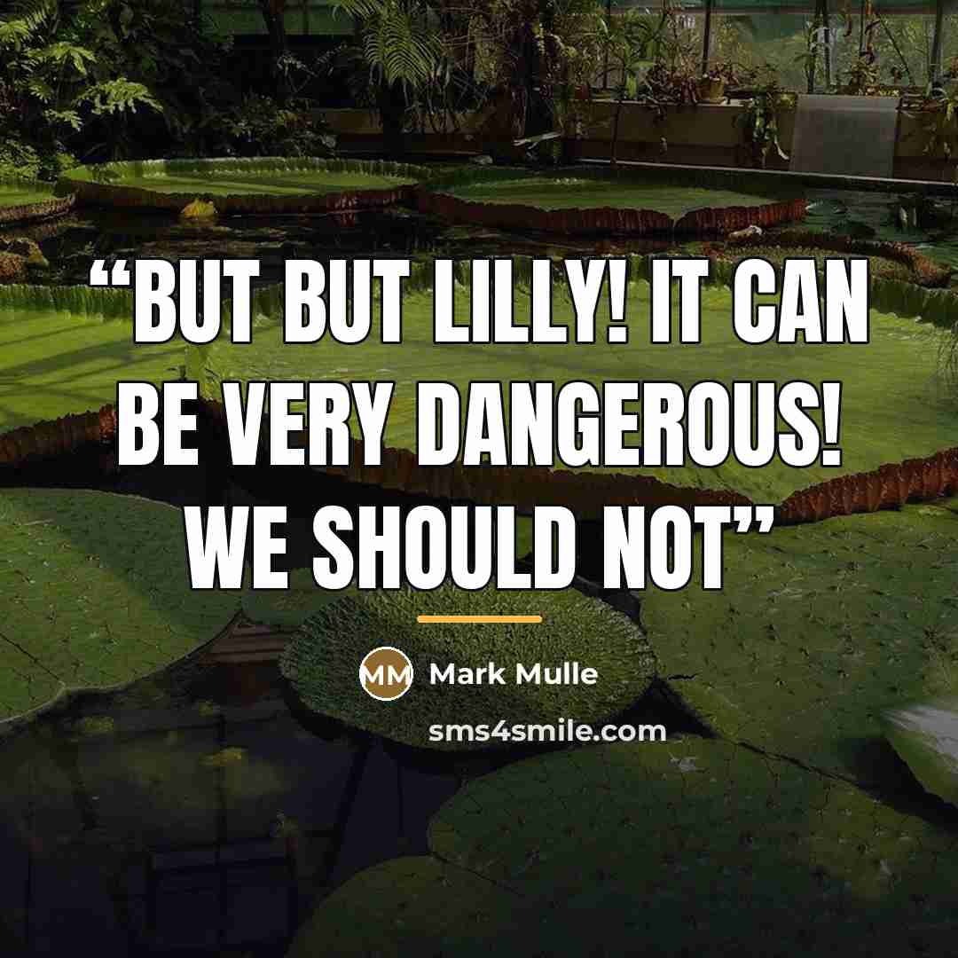 “But but Lilly! It can be very dangerous! We should NOT” quote by Mark Mulle