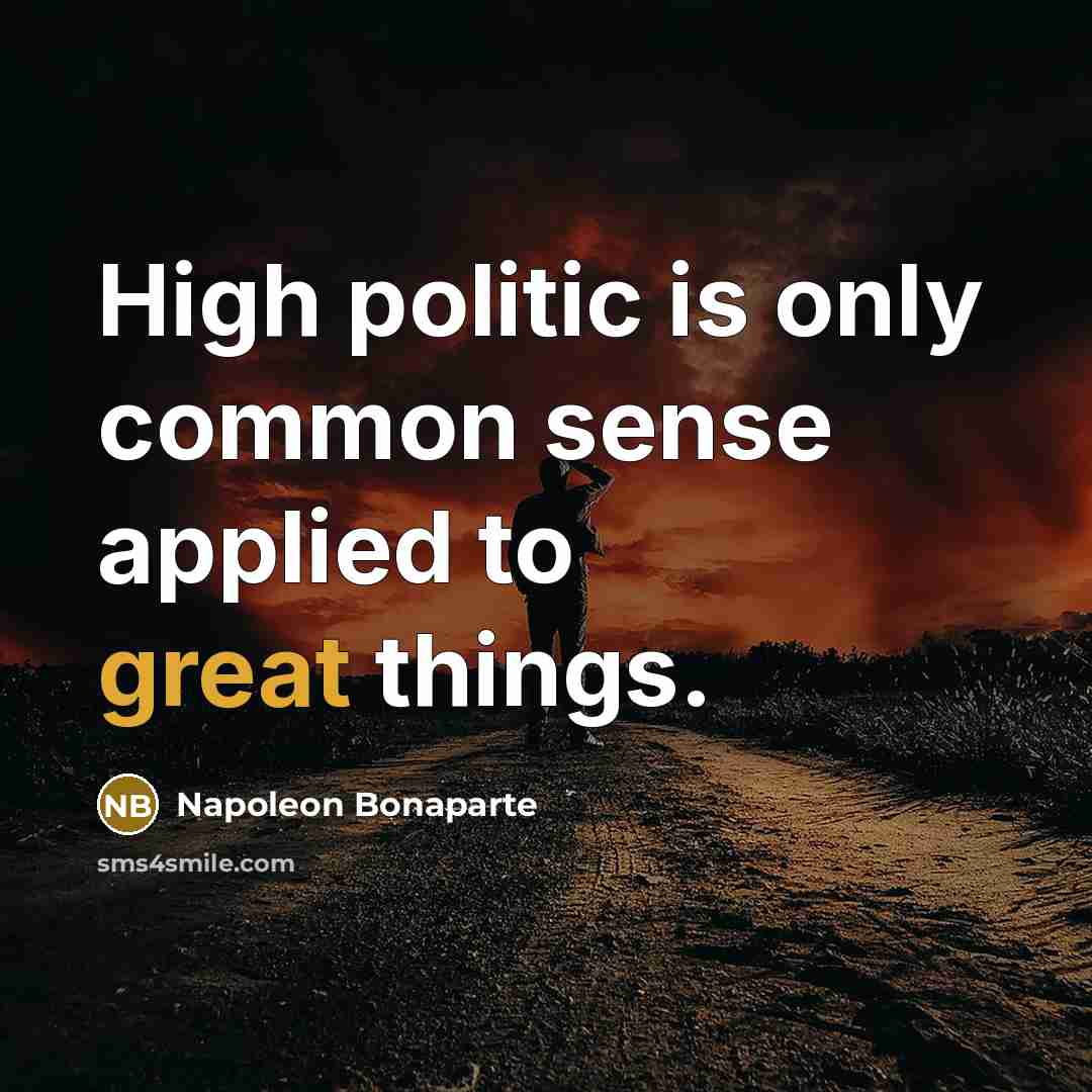 “High politic is only common sense applied to great things.” quote by Napoleon Bonaparte
