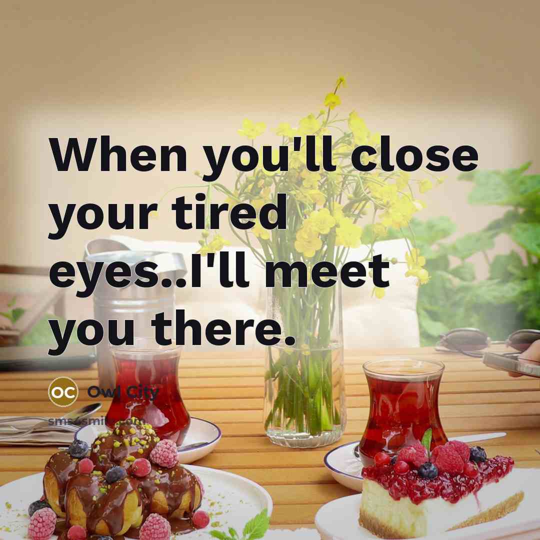 “When you'll close your tired eyes..I'll meet you there.” quote by Owl City