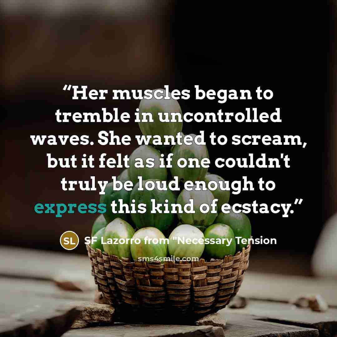 “Her muscles began to tremble in uncontrolled waves. She wanted to scream, but it felt as if one couldn't truly be loud enough to express this kind of ecstacy.” quote by SF Lazorro from "Necessary Tension