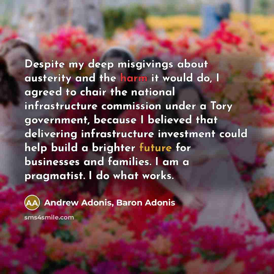 “Despite my deep misgivings about austerity and the harm it would do, I agreed to chair the national infrastructure commission under a Tory government, because I believed that delivering infrastructure investment could help build a brighter future for businesses and families. I am a pragmatist. I…” quote by Andrew Adonis, Baron Adonis