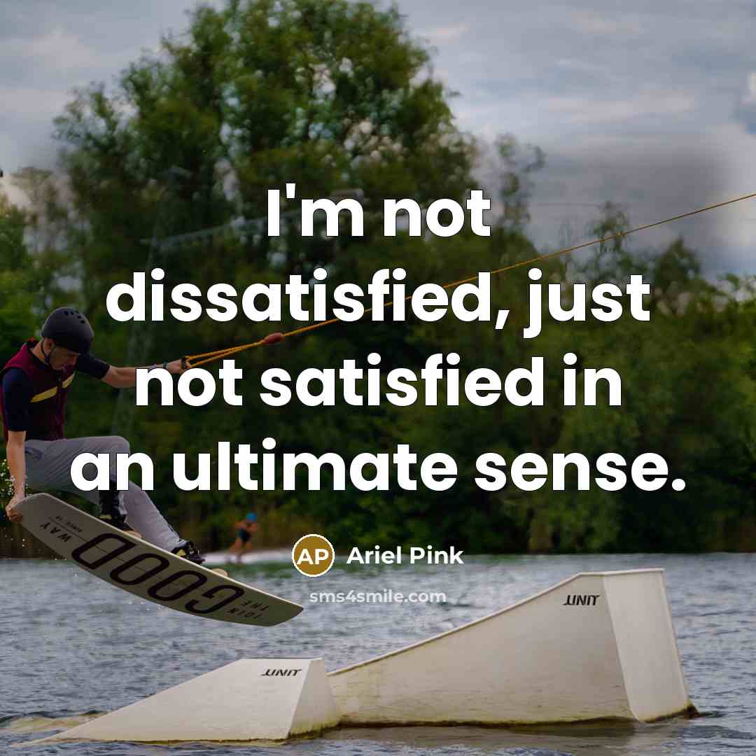 “I'm not dissatisfied, just not satisfied in an ultimate sense.” quote by Ariel Pink