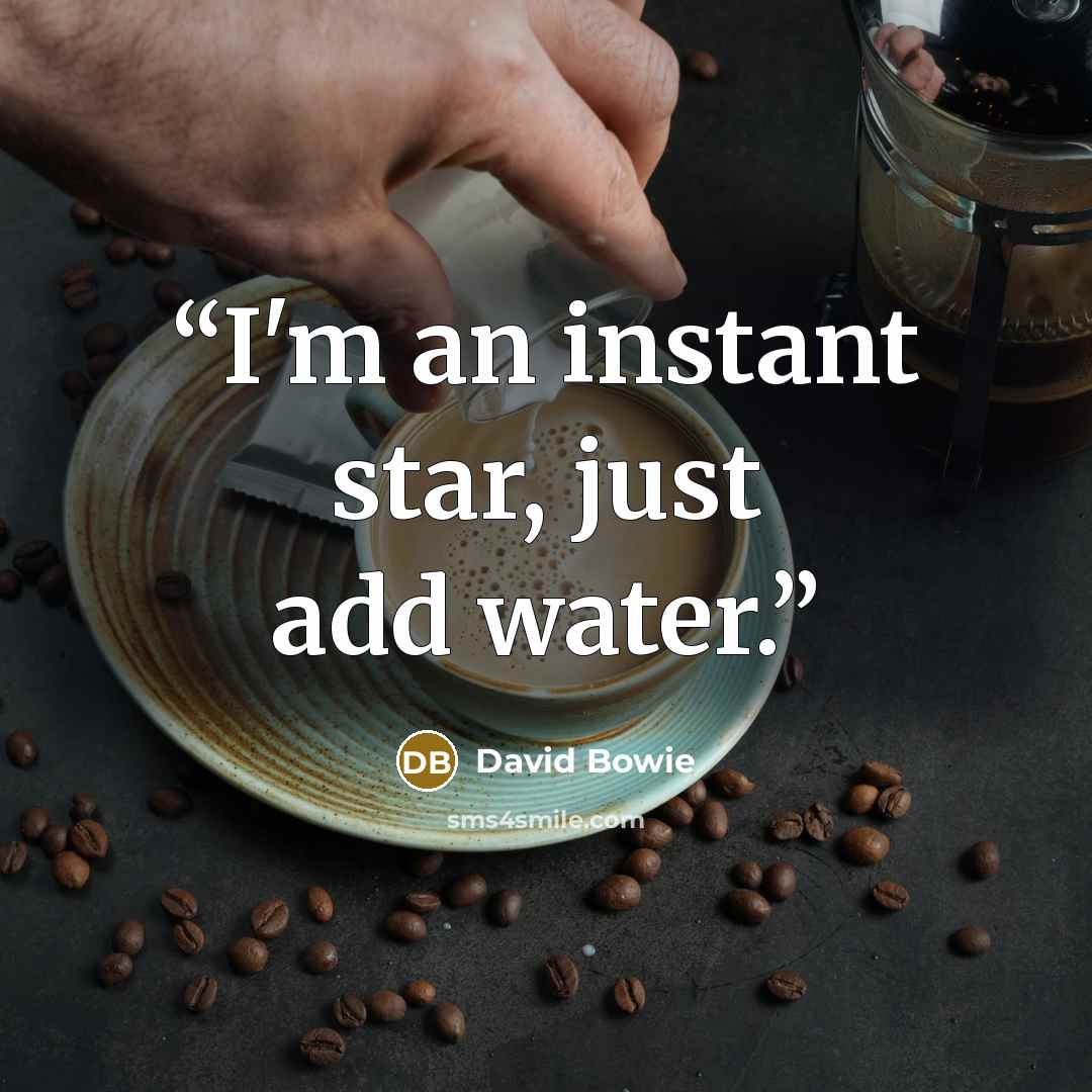 “I'm an instant star, just add water.” quote by David Bowie