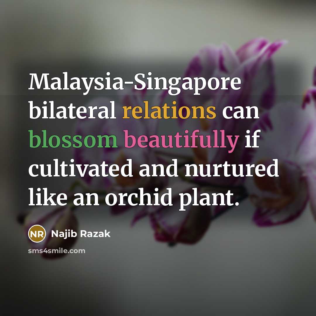 “Malaysia-Singapore bilateral relations can blossom beautifully if cultivated and nurtured like an orchid plant.” quote by Najib Razak