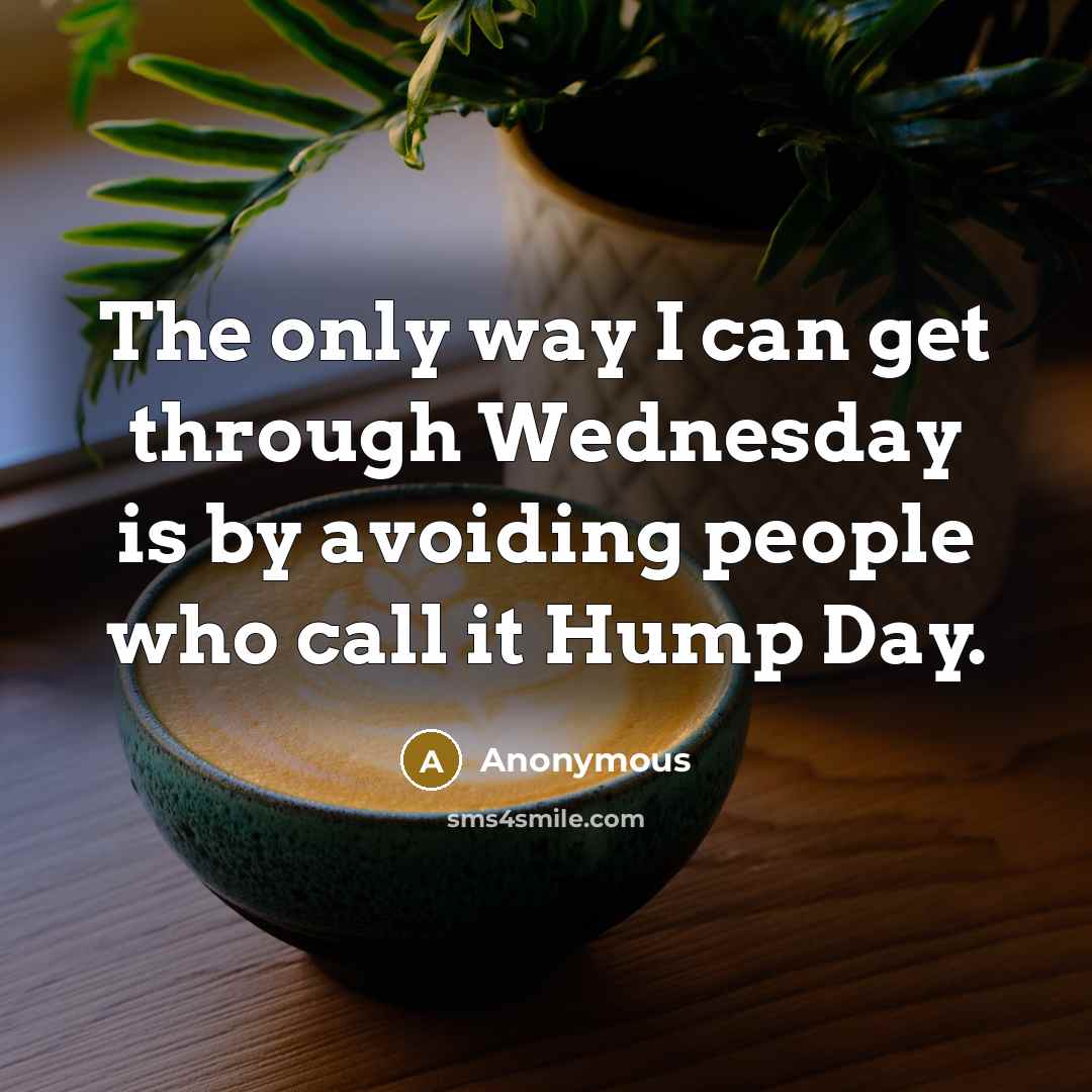 “The only way I can get through Wednesday is by avoiding people who call it Hump Day.” quote by Anonymous