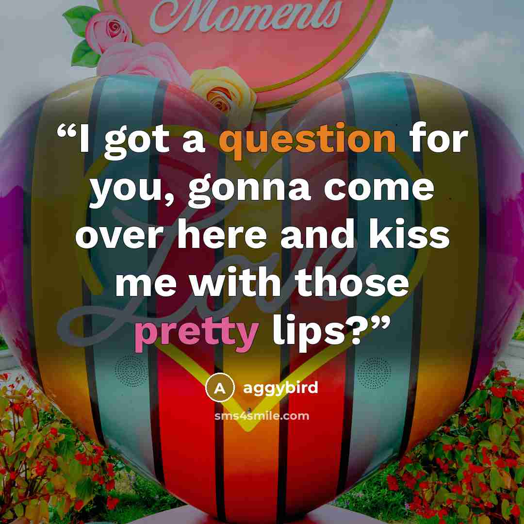 “I got a question for you, gonna come over here and kiss me with those pretty lips?” quote by aggybird