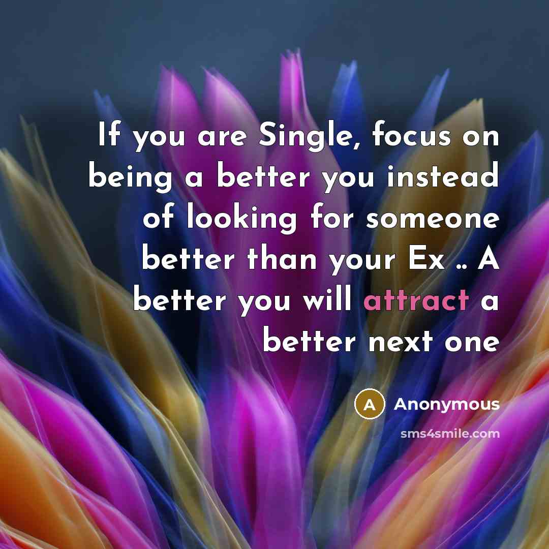 “If you are Single, focus on being a better you instead of looking for someone better than your Ex .. A better you will attract a better next one” quote by Anonymous