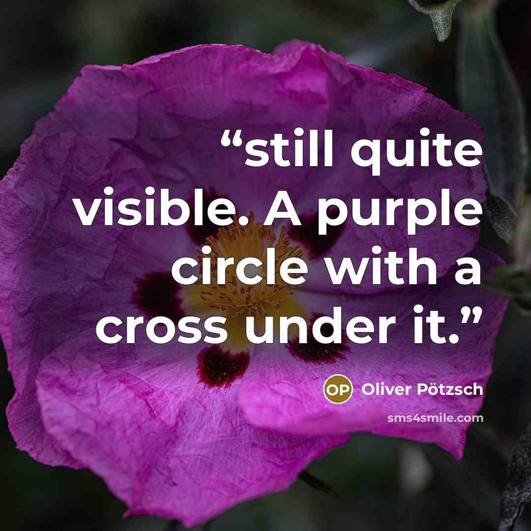 “still quite visible. A purple circle with a cross under it.” quote by Oliver Pötzsch
