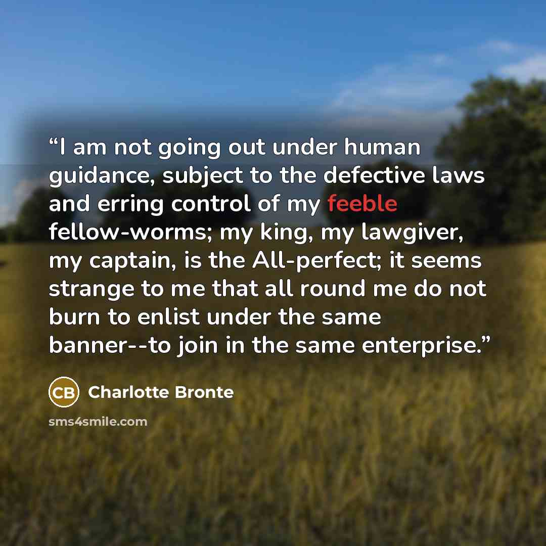 “I am not going out under human guidance, subject to the defective laws and erring control of my feeble fellow-worms; my king, my lawgiver, my captain, is the All-perfect; it seems strange to me that all round me do not burn to enlist under the same banner--to join in the same enterprise.” quote by Charlotte Brontë