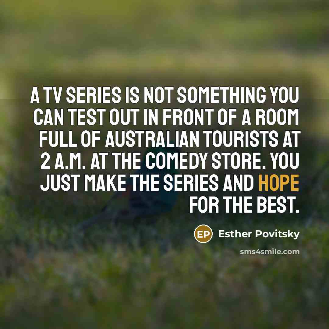 “A TV series is not something you can test out in front of a room full of Australian tourists at 2 A.M. at The Comedy Store. You just make the series and hope for the best.” quote by Esther Povitsky