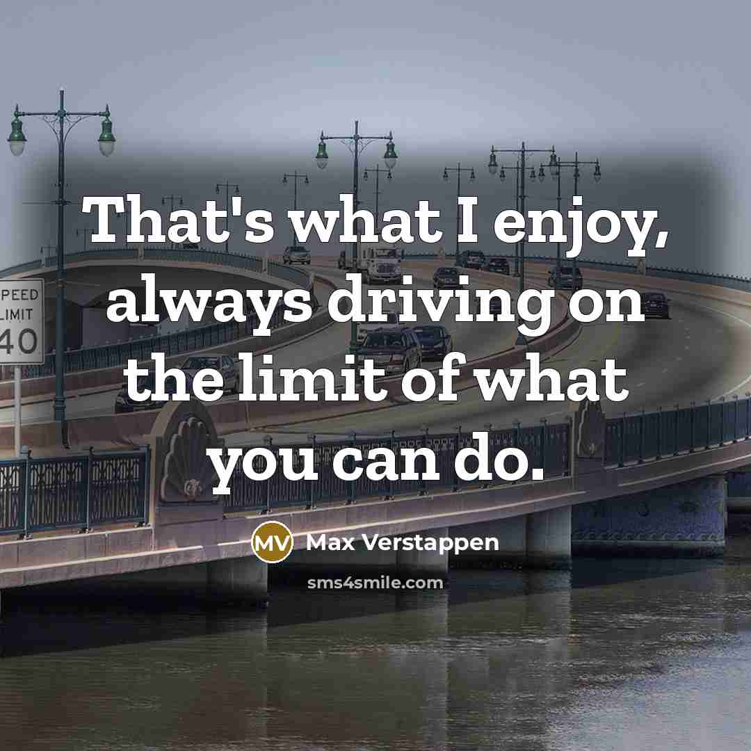 “That's what I enjoy, always driving on the limit of what you can do.” quote by Max Verstappen