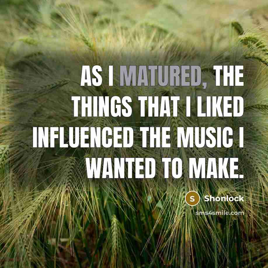 “As I matured, the things that I liked influenced the music I wanted to make.” quote by Shonlock