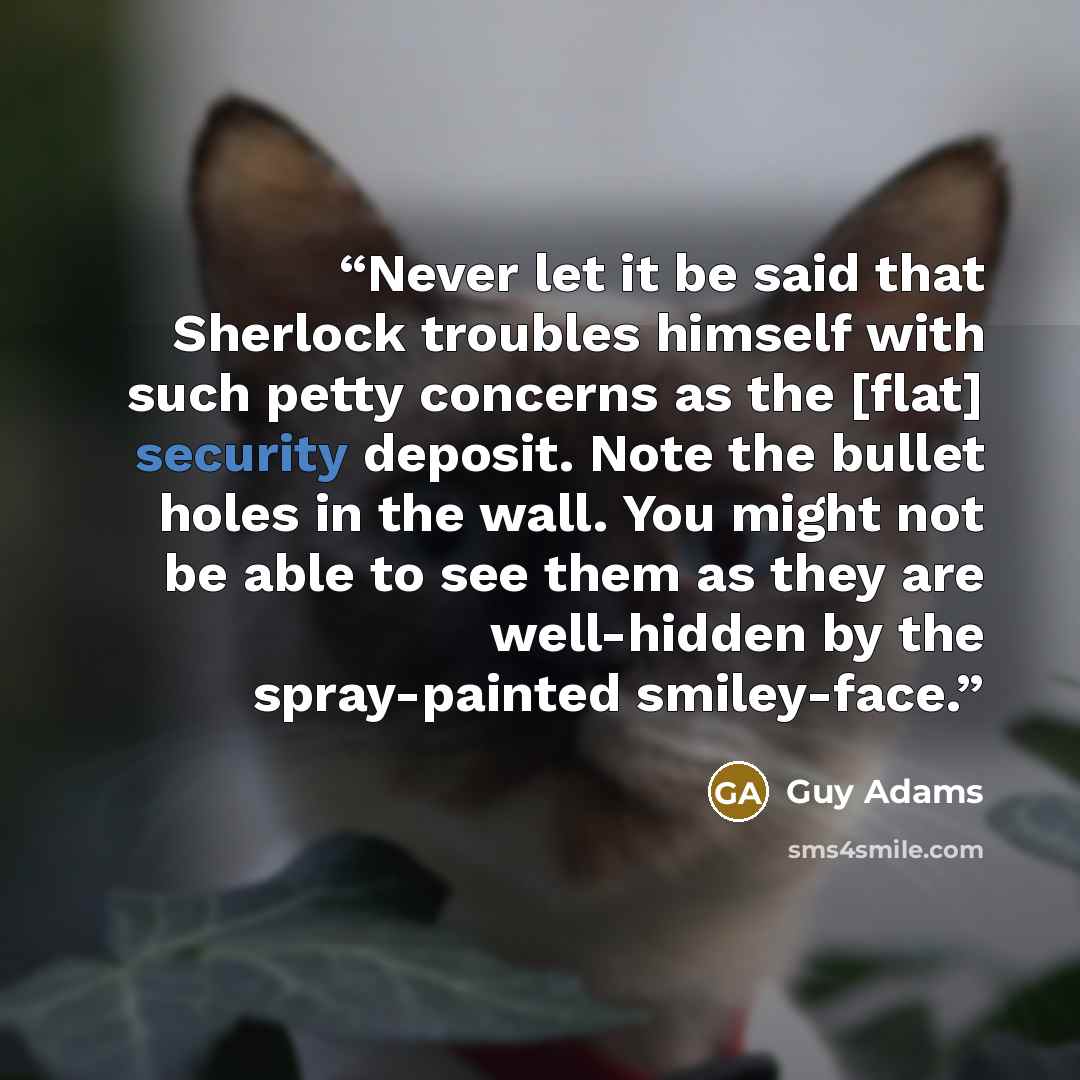 “Never let it be said that Sherlock troubles himself with such petty concerns as the [flat] security deposit. Note the bullet holes in the wall. You might not be able to see them as they are well-hidden by the spray-painted smiley-face.” quote by Guy Adams
