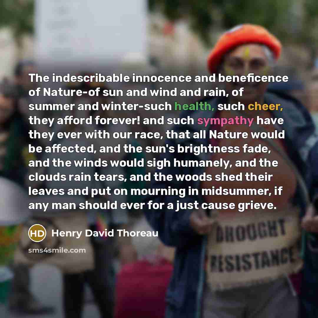 “The indescribable innocence and beneficence of Nature-of sun and wind and rain, of summer and winter-such health, such cheer, they afford forever! and such sympathy have they ever with our race, that all Nature would be affected, and the sun's brightness fade, and the winds would sigh humanely…” quote by Henry David Thoreau