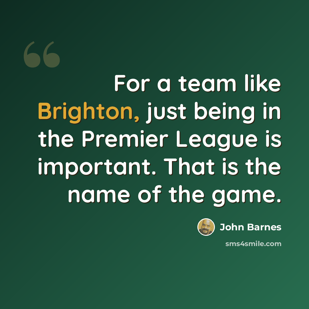 “For a team like Brighton, just being in the Premier League is important. That is the name of the game.” quote by John Barnes