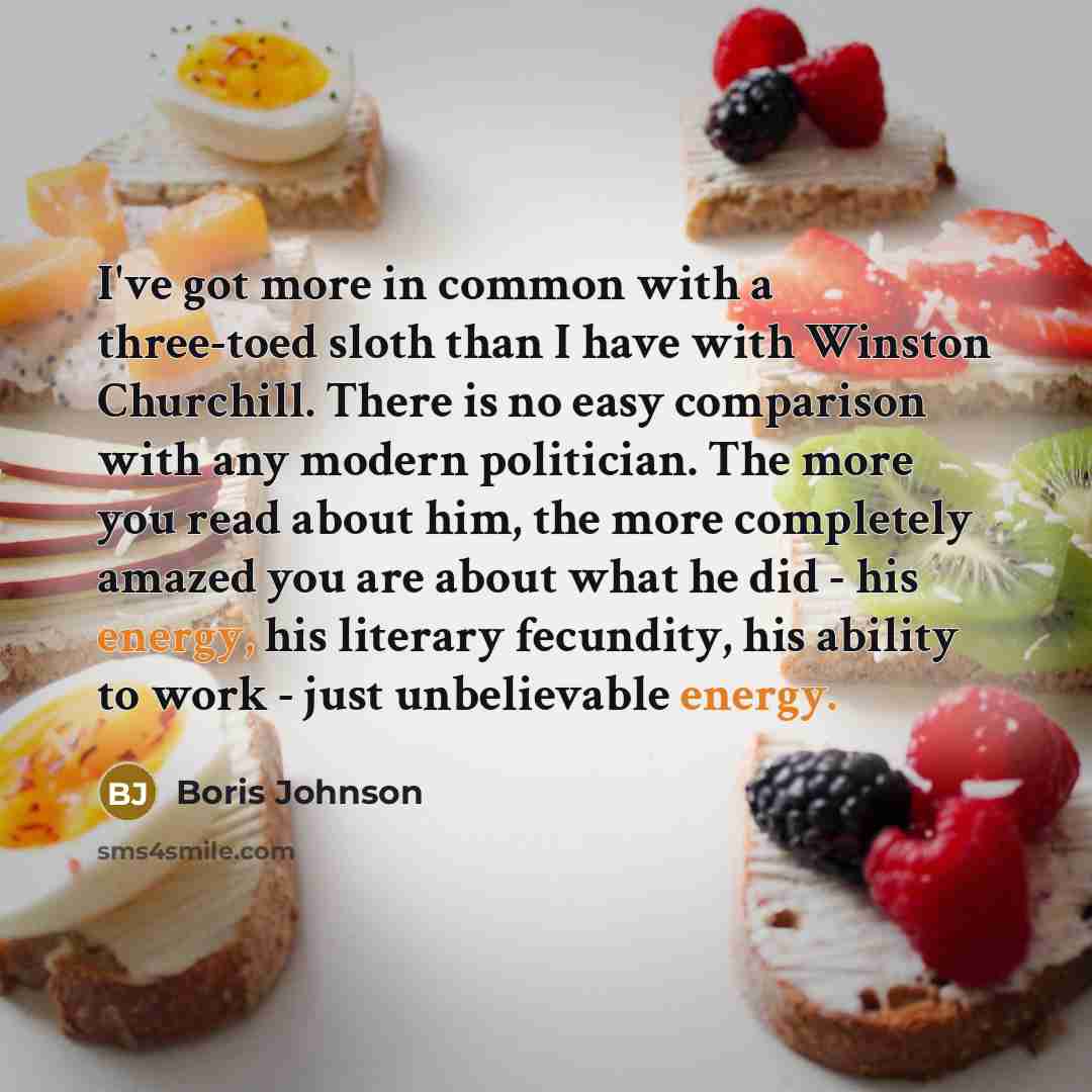 “I've got more in common with a three-toed sloth than I have with Winston Churchill. There is no easy comparison with any modern politician. The more you read about him, the more completely amazed you are about what he did - his energy, his literary fecundity, his ability to work - just…” quote by Boris Johnson