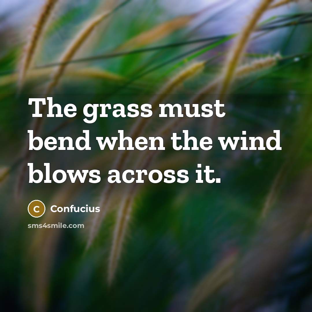 “The grass must bend when the wind blows across it.” quote by Confucius