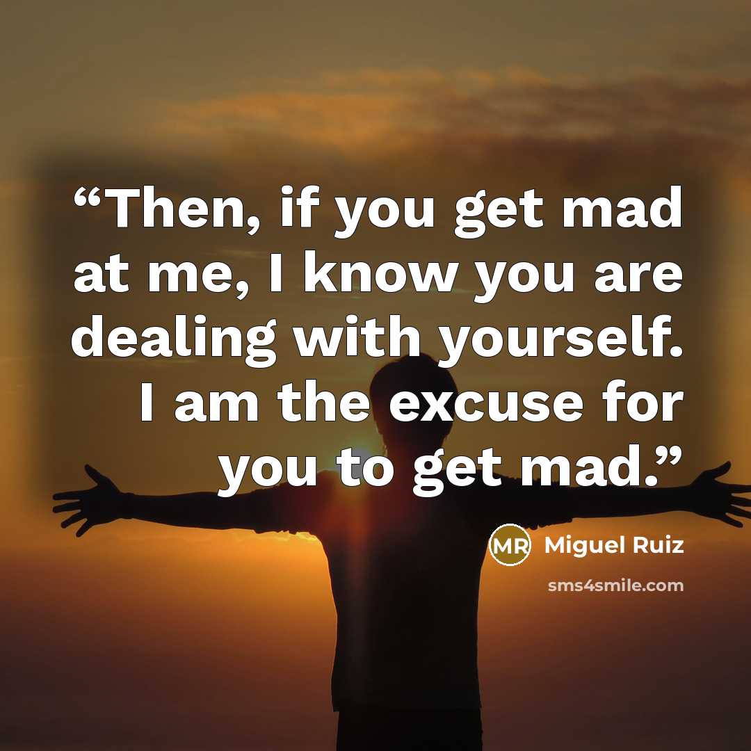 “Then, if you get mad at me, I know you are dealing with yourself. I am the excuse for you to get mad.” quote by Miguel Ruiz