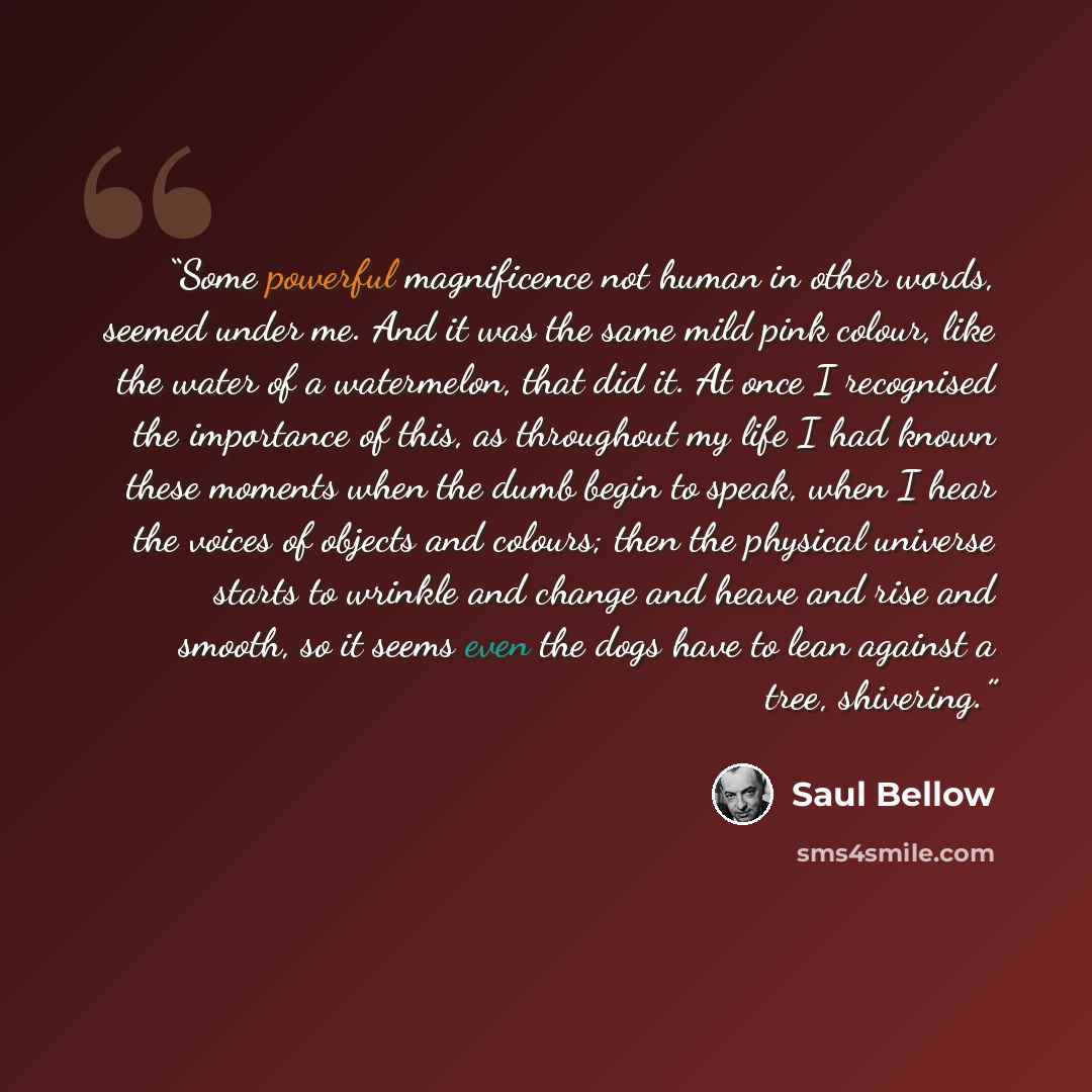 “Some powerful magnificence not human in other words, seemed under me. And it was the same mild pink colour, like the water of a watermelon, that did it. At once I recognised the importance of this, as throughout my life I had known these moments when the dumb begin to speak, when I hear the voices…” quote by Saul Bellow
