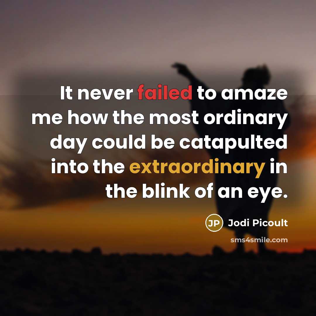 “It never failed to amaze me how the most ordinary day could be catapulted into the extraordinary in the blink of an eye.” quote by Jodi Picoult