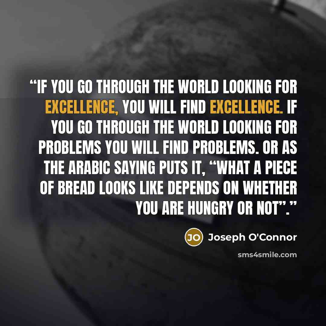 “If you go through the world looking for excellence, you will find excellence. If you go through the world looking for problems you will find problems. Or as the Arabic saying puts it, “What a piece of bread looks like depends on whether you are hungry or not”.” quote by Joseph O'Connor