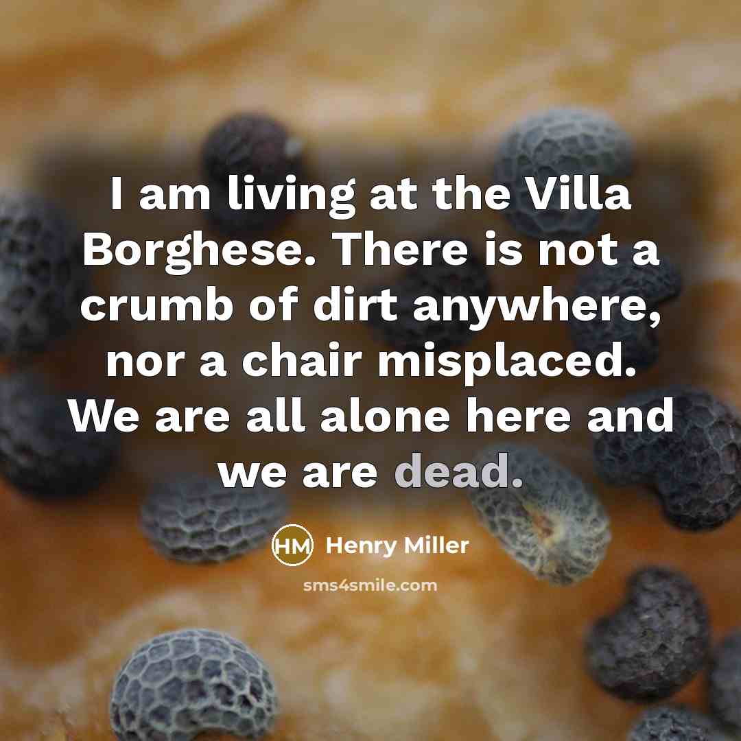 “I am living at the Villa Borghese. There is not a crumb of dirt anywhere, nor a chair misplaced. We are all alone here and we are dead.” quote by Henry Miller