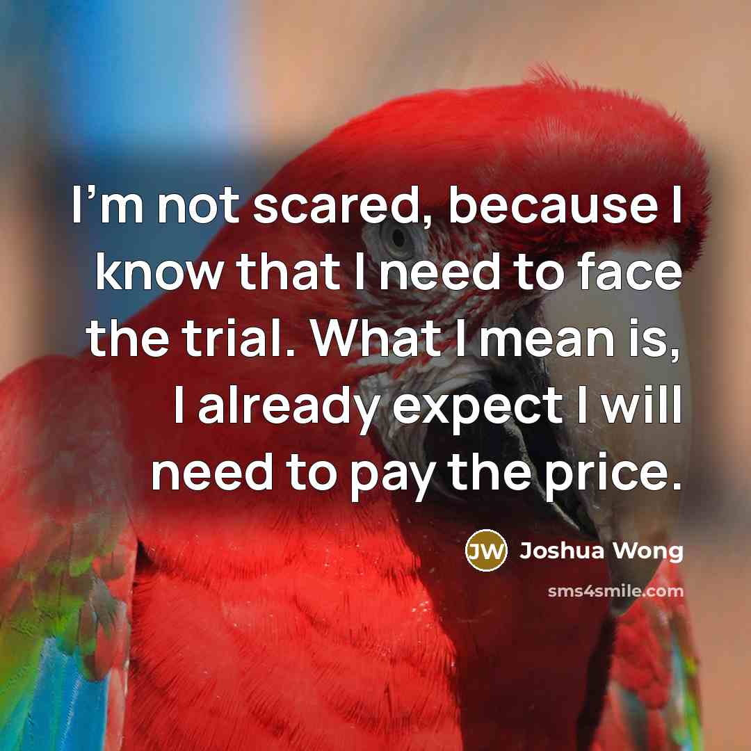 “I'm not scared, because I know that I need to face the trial. What I mean is, I already expect I will need to pay the price.” quote by Joshua Wong