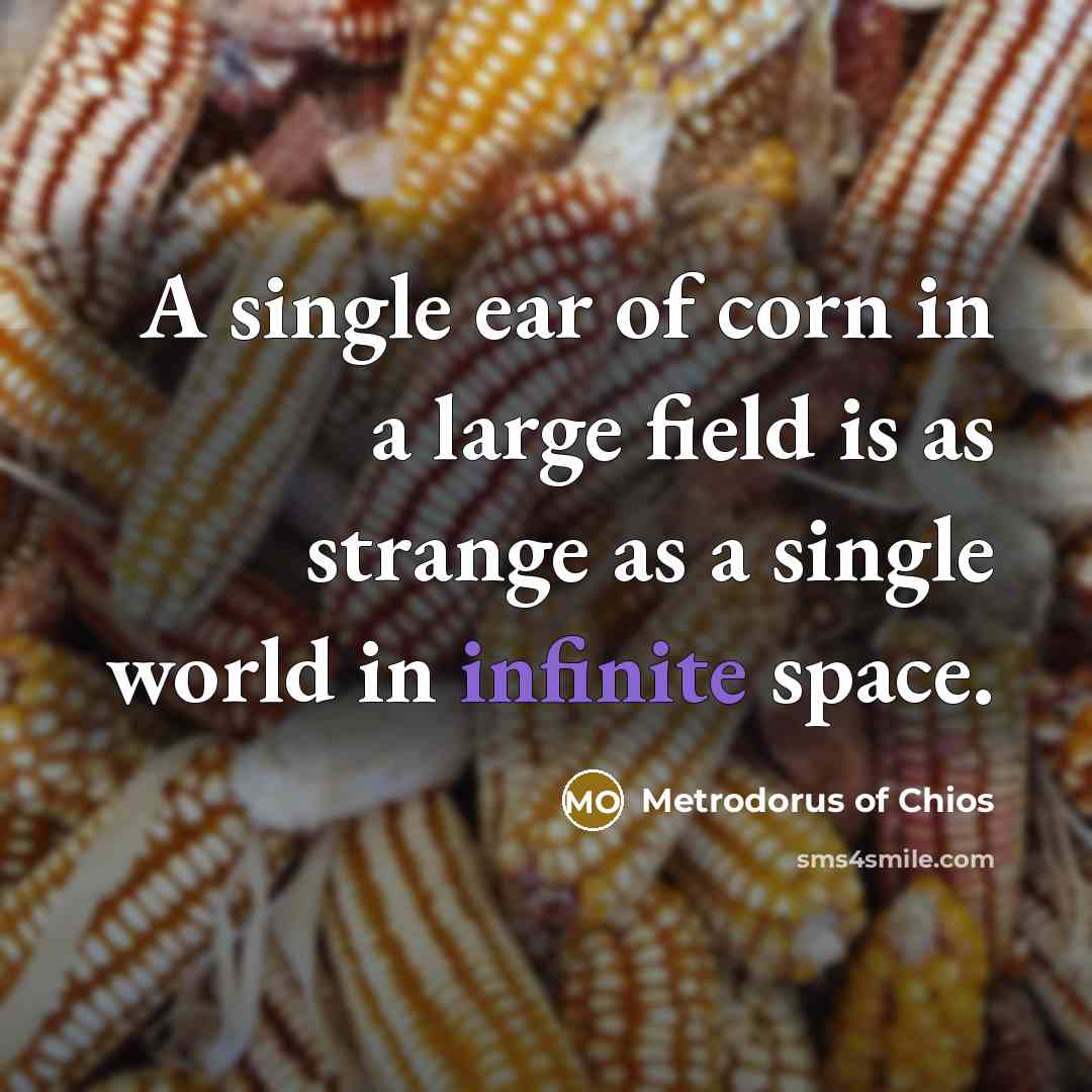 “A single ear of corn in a large field is as strange as a single world in infinite space.” quote by Metrodorus of Chios
