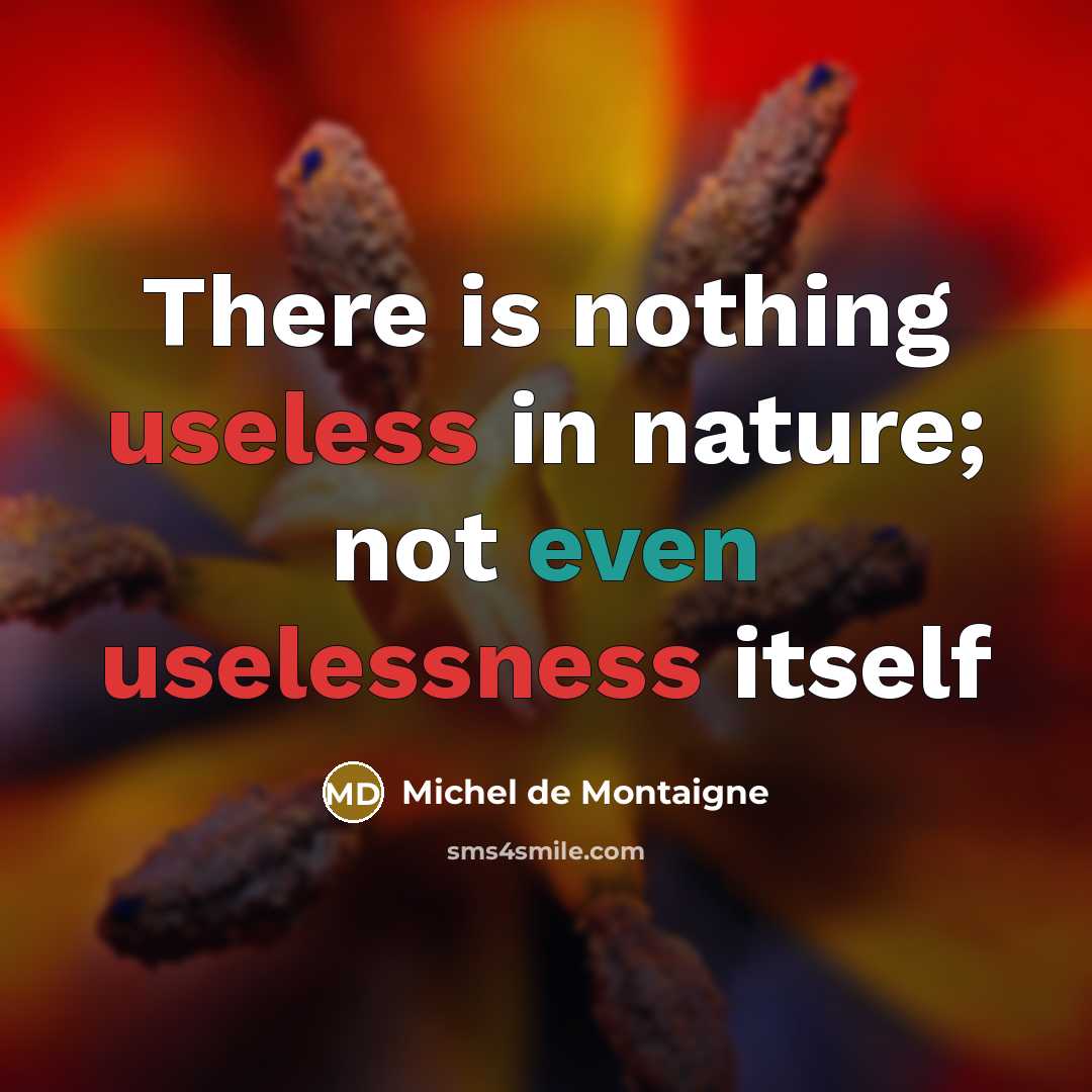 “There is nothing useless in nature; not even uselessness itself” quote by Michel de Montaigne