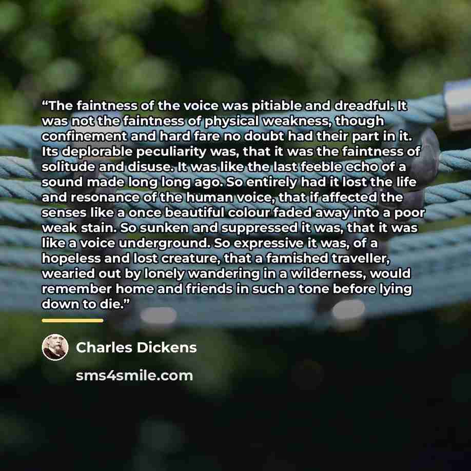 “The faintness of the voice was pitiable and dreadful. It was not the faintness of physical weakness, though confinement and hard fare no doubt had their part in it. Its deplorable peculiarity was, that it was the faintness of solitude and disuse. It was like the last feeble echo of a sound made…” quote by Charles Dickens