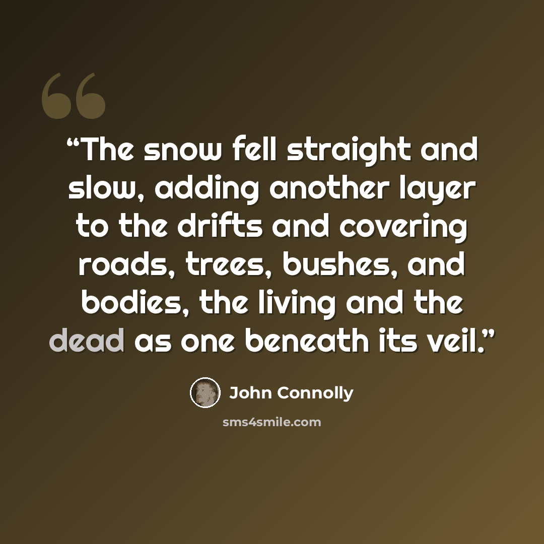 “The snow fell straight and slow, adding another layer to the drifts and covering roads, trees, bushes, and bodies, the living and the dead as one beneath its veil.” quote by John Connolly