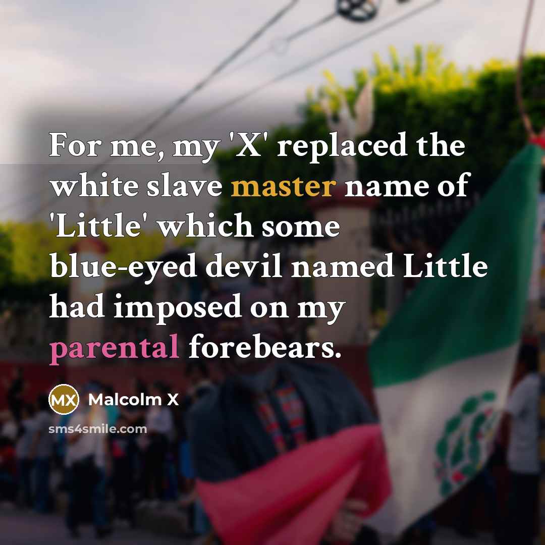 “For me, my 'X' replaced the white slave master name of 'Little' which some blue-eyed devil named Little had imposed on my parental forebears.” quote by Malcolm X